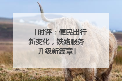 时评：便民出行新变化，铁路服务升级新篇章