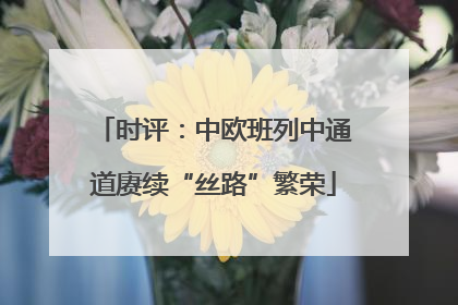时评：中欧班列中通道赓续“丝路”繁荣