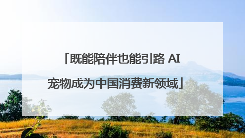 既能陪伴也能引路 AI宠物成为中国消费新领域