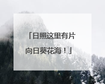 日照这里有片向日葵花海！
