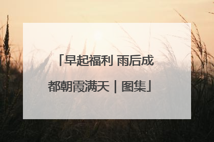 早起福利 雨后成都朝霞满天｜图集