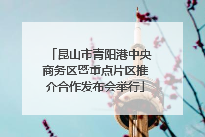 昆山市青阳港中央商务区暨重点片区推介合作发布会举行