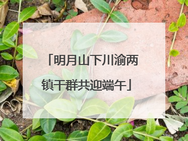 明月山下川渝两镇干群共迎端午