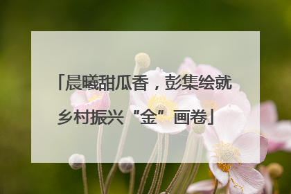 晨曦甜瓜香，彭集绘就乡村振兴“金”画卷