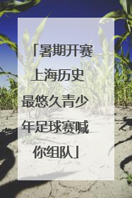 暑期开赛 上海历史最悠久青少年足球赛喊你组队