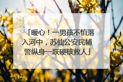 暖心！一男孩不慎落入河中，苏仙公安民辅警纵身一跃硬核救人