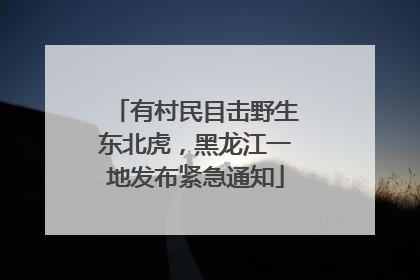 有村民目击野生东北虎，黑龙江一地发布紧急通知
