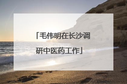 毛伟明在长沙调研中医药工作