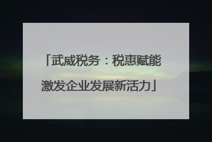 武威税务：税惠赋能 激发企业发展新活力