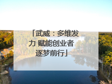 武威：多维发力 赋能创业者逐梦前行