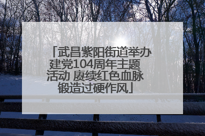 武昌紫阳街道举办建党104周年主题活动 赓续红色血脉锻造过硬作风