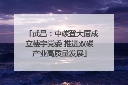 武昌：中碳登大厦成立楼宇党委 推进双碳产业高质量发展