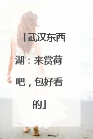 武汉东西湖：来赏荷吧，包好看的