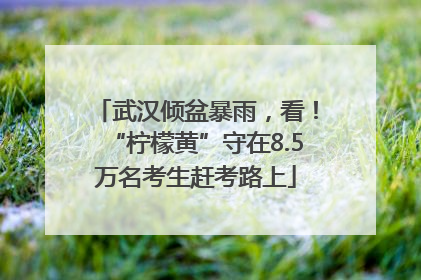 武汉倾盆暴雨，看！“柠檬黄”守在8.5万名考生赶考路上