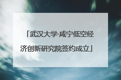 武汉大学·咸宁低空经济创新研究院签约成立