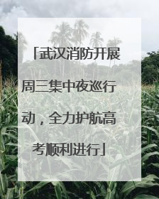 武汉消防开展周三集中夜巡行动，全力护航高考顺利进行