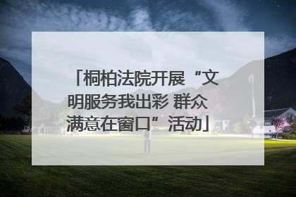 桐柏法院开展“文明服务我出彩 群众满意在窗口”活动