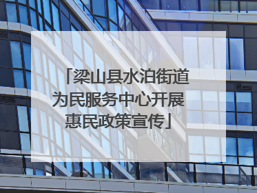 梁山县水泊街道为民服务中心开展惠民政策宣传