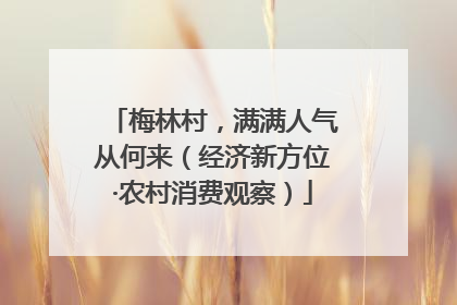 梅林村，满满人气从何来（经济新方位·农村消费观察）