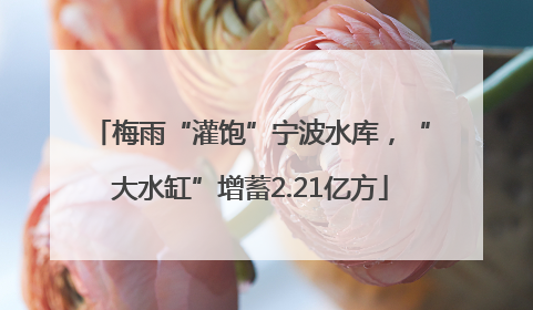梅雨“灌饱”宁波水库，“大水缸”增蓄2.21亿方