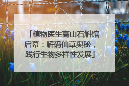 植物医生高山石斛馆启幕：解码仙草奥秘，践行生物多样性发展