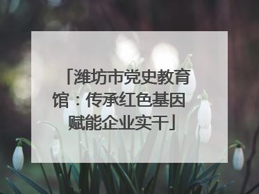 潍坊市党史教育馆：传承红色基因 赋能企业实干