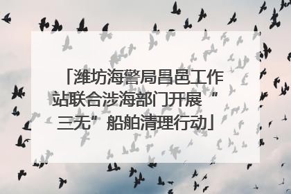 潍坊海警局昌邑工作站联合涉海部门开展“三无”船舶清理行动