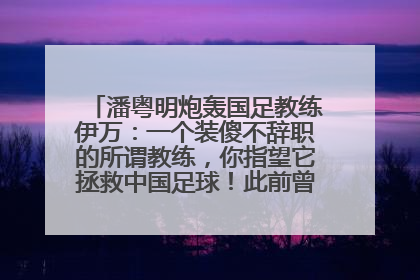 潘粤明炮轰国足教练伊万：一个装傻不辞职的所谓教练，你指望它拯救中国足球！此前曾多次发文评价国足