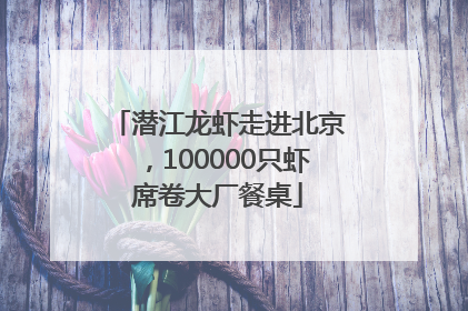 潜江龙虾走进北京，100000只虾席卷大厂餐桌