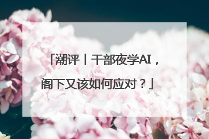 潮评丨干部夜学AI，阁下又该如何应对？