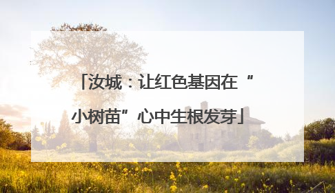 汝城：让红色基因在“小树苗”心中生根发芽