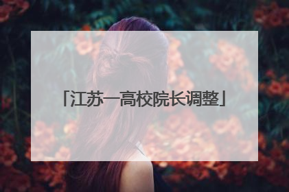 江苏一高校院长调整