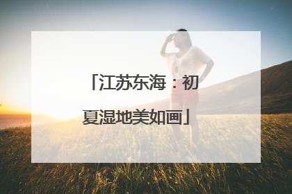 江苏东海：初夏湿地美如画