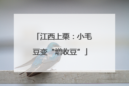 江西上栗：小毛豆变“增收豆”