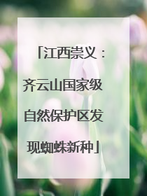 江西崇义：齐云山国家级自然保护区发现蜘蛛新种