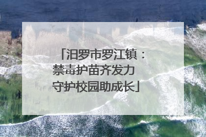 汨罗市罗江镇：禁毒护苗齐发力 守护校园助成长