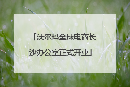 沃尔玛全球电商长沙办公室正式开业