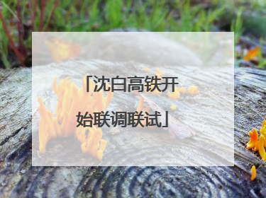 沈白高铁开始联调联试