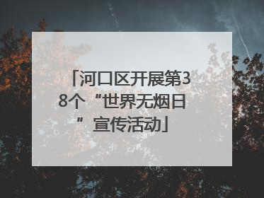 河口区开展第38个“世界无烟日”宣传活动