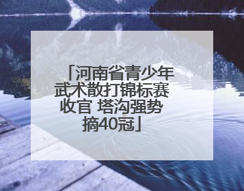 河南省青少年武术散打锦标赛收官 塔沟强势摘40冠