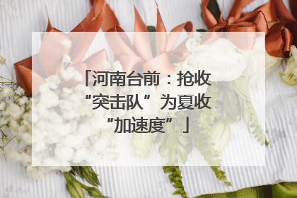 河南台前：抢收“突击队”为夏收“加速度”