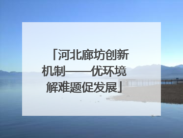 河北廊坊创新机制——优环境解难题促发展