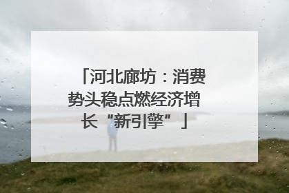 河北廊坊：消费势头稳点燃经济增长“新引擎”