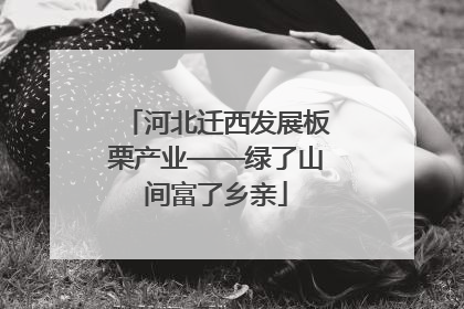 河北迁西发展板栗产业——绿了山间富了乡亲