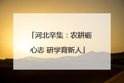 河北辛集：农耕砺心志 研学育新人