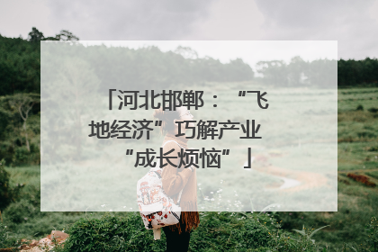 河北邯郸：“飞地经济”巧解产业“成长烦恼”
