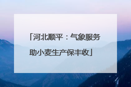 河北顺平：气象服务助小麦生产保丰收