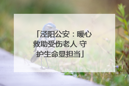泾阳公安：暖心救助受伤老人 守护生命显担当