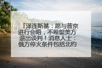 泽连斯基：愿与普京进行会晤，不希望美方退出谈判！消息人士：俄方停火条件包括北约“书面”保证不东扩