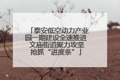 泰安低空动力产业园一期建设全速推进 文庙街道聚力攻坚抢抓“进度条”